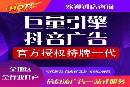代理开户服务在海外投资中的应用案例